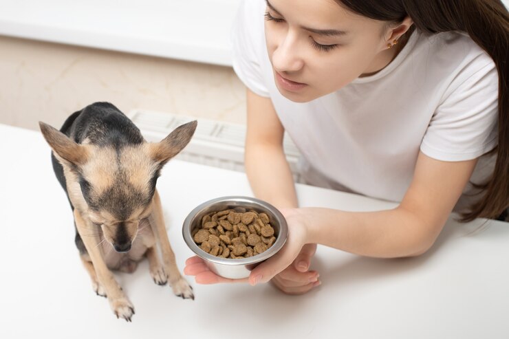 best food for Chihuahua puppy