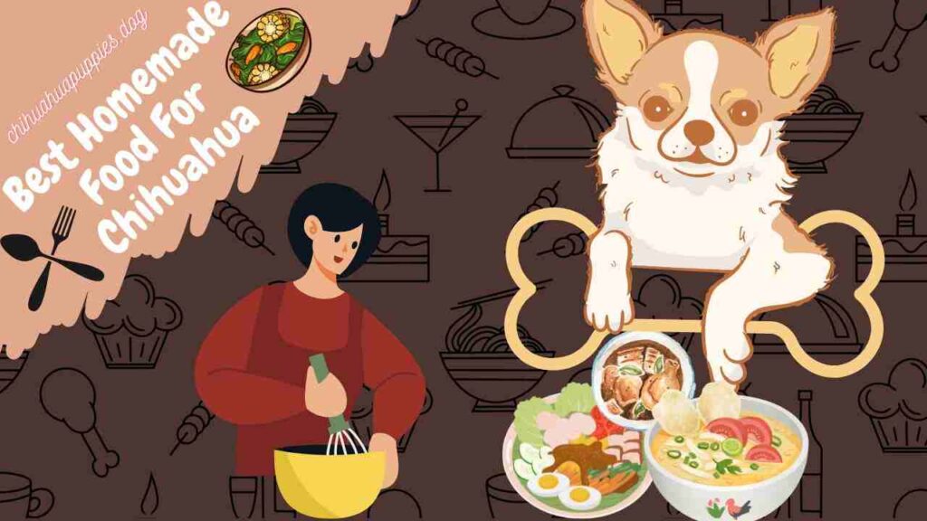 Best Homemade Food For Chihuahua