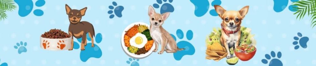 How much should a Chihuahua Eat? 