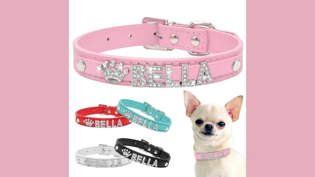 Chihuahua Collars 