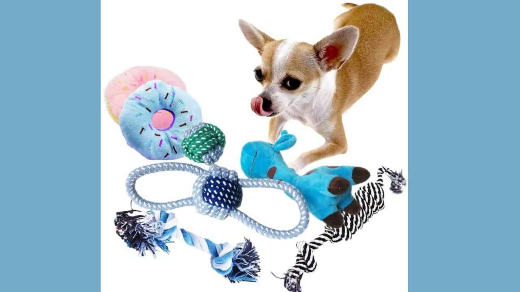 Best Toys For Chihuahuas