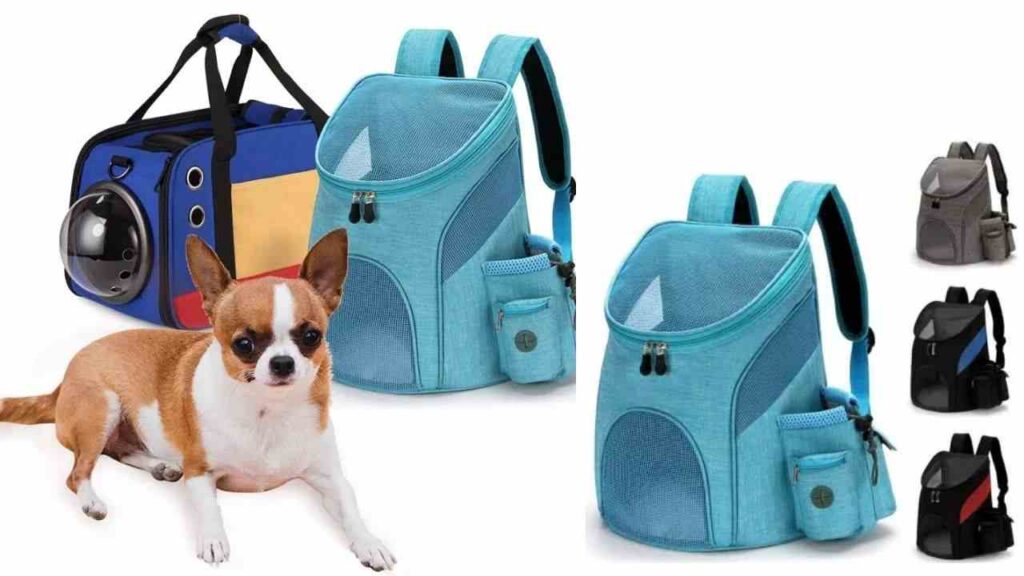 Chihuahua Carriers and Bags