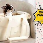 Chihuahua Carriers and Bags